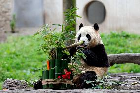 (SichuanMosaics)CHINA-SICHUAN-GIANT PANDA-FU BAO-MEETING THE PUBLIC (CN)