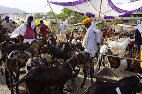 Goat Sellers Before The Muslim Festival Of Eid Al-Adha - India