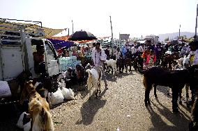 Goat Sellers Before The Muslim Festival Of Eid Al-Adha - India