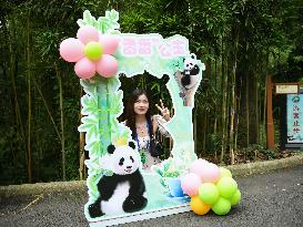 (SichuanMosaics)CHINA-SICHUAN-YA'AN-PANDA XIANG XIANG-7TH BIRTHDAY (CN)