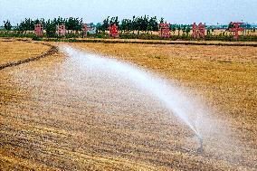 Sprinkler Irrigation to Combat Drought in Hebi
