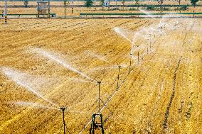 Sprinkler Irrigation to Combat Drought in Hebi
