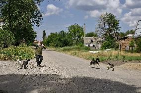 Pensioner cares for 50 goats in frontline Orikhiv