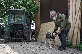 Pensioner cares for 50 goats in frontline Orikhiv