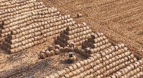 Farmers Recycle Wheat Straw in Huai'an