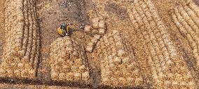 Farmers Recycle Wheat Straw in Huai'an