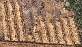 Farmers Recycle Wheat Straw in Huai'an