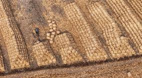 Farmers Recycle Wheat Straw in Huai'an