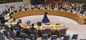 U.N. Security Council meeting on North Korea