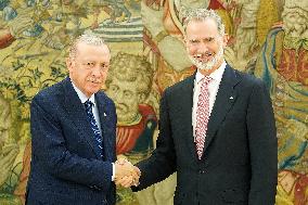 King Felipe VI Meets With Recep Tayyip Erdoga - Madrid