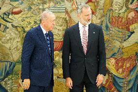 King Felipe VI Meets With Recep Tayyip Erdoga - Madrid