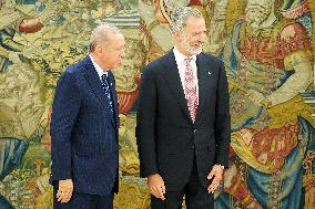 King Felipe VI Meets With Recep Tayyip Erdoga - Madrid