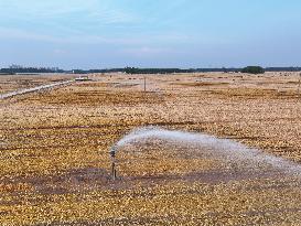 Agricultural Drought Resistance in Liaocheng
