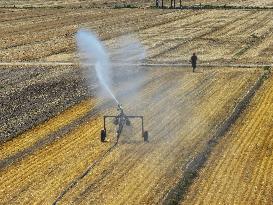 Agricultural Drought Resistance in Liaocheng