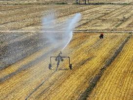 Agricultural Drought Resistance in Liaocheng