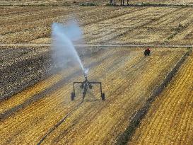 Agricultural Drought Resistance in Liaocheng