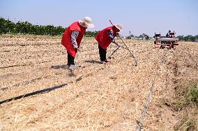 Agricultural Drought Resistance in Liaocheng