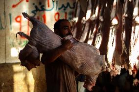 The Automated Slaughterhouse Is Preparing To Receive Sacrifices On The Occasion Of Eid Al-Adha
