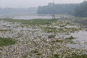 Sea Of ​​Garbage In The Citarum River, Bandung, Indonesia