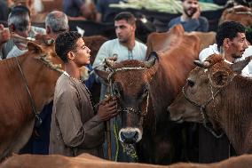 EGYPT-BENI SUEF-EID AL-ADHA-LIVESTOCK MARKET