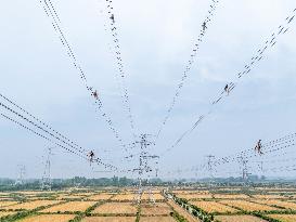 Transmission Line Acceptance in Nanjing