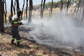 LEBANON-ISRAEL-BORDER-TENSIONS