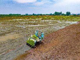 Unmanned Rice Transplanter For Intelligent Rice Transplanting Operations