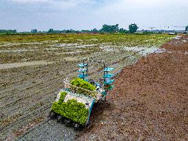 Unmanned Rice Transplanter For Intelligent Rice Transplanting Operations