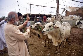 PAKISTAN-PESHAWAR-EID AL-ADHA-LIVESTOCK MARKET