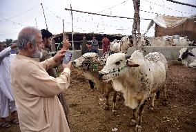 PAKISTAN-PESHAWAR-EID AL-ADHA-LIVESTOCK MARKET