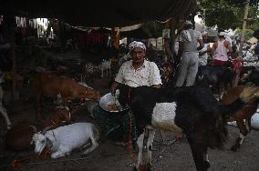 India Eid Al Adha