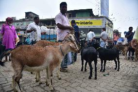 Livestock Ahead Of Eid-Al Adha In Assam
