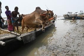 Eid Al-Adha In Bangladesh