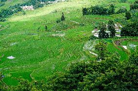 CHINA-YUNNAN-HANI TERRACED FIELDS-SCENERY (CN)