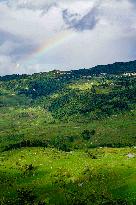 CHINA-YUNNAN-HANI TERRACED FIELDS-SCENERY (CN)