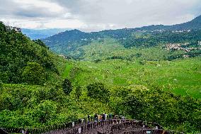 CHINA-YUNNAN-HANI TERRACED FIELDS-SCENERY (CN)