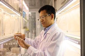 CHINA-GUANGDONG-RESEARCH-INSECT OLFACTORY MECHANISM-GREEN PESTICIDES (CN)