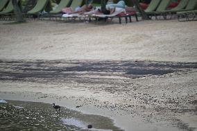 Oil Stains Singapore Beaches After Shipping Accident
