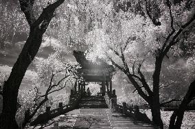 CHINA-BEIJING-SUMMER PALACE-SCENERY-INFRARED PHOTOGRAPHY (CN)
