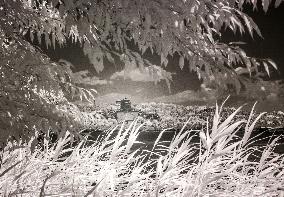 CHINA-BEIJING-SUMMER PALACE-SCENERY-INFRARED PHOTOGRAPHY (CN)