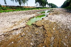 High-temperature Drought in Henan