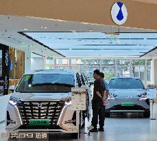 China New Energy Vehicles Grow