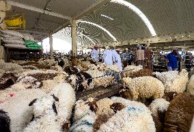Qatar Eid Al-Adha Preparation 2024