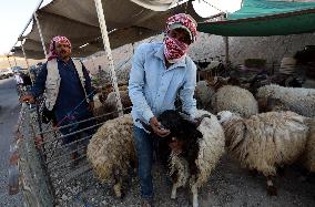 JORDAN-AMMAN-EID AL-ADHA-LIVESTOCK MARKET