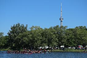 Toronto International Dragon Boat Race Festival