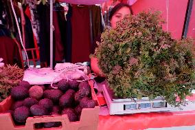 Price Of Coriander Rises Due To Drought In Mexico