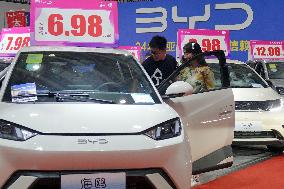 BYD Vehicles at Auto Show in Yantai