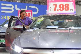 BYD Vehicles at Auto Show in Yantai
