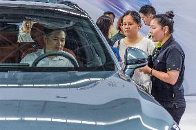 13th Nanning International Automobile Exhibition in Nanning