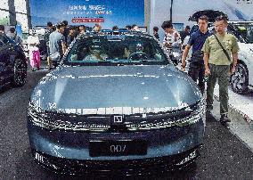 13th Nanning International Automobile Exhibition in Nanning